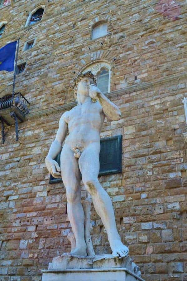 Replica of David Statue