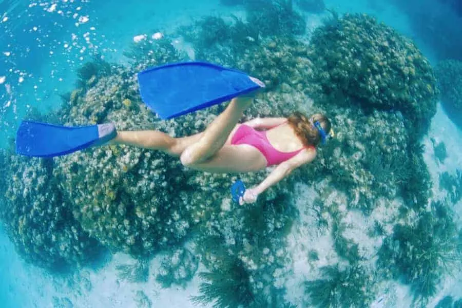 Snorkeling in Key West