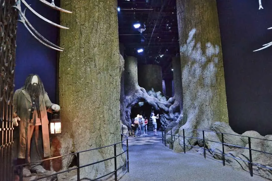 Forbidden Forest in Harry Potter Tour