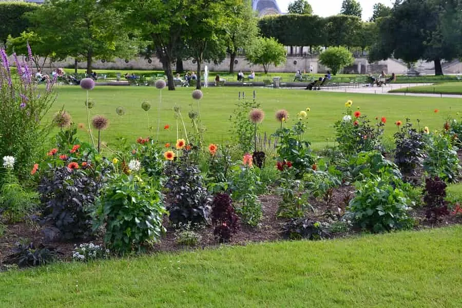 Tuileries Garden in Paris