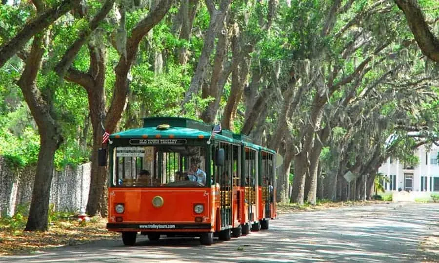 Trolly Tour