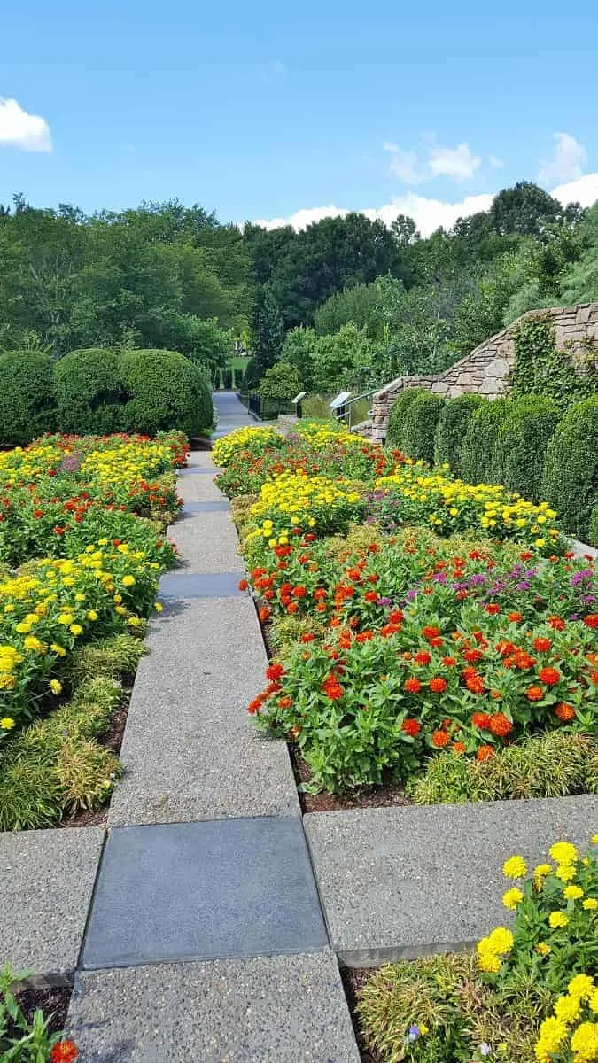 Flowers at NC Arboretum