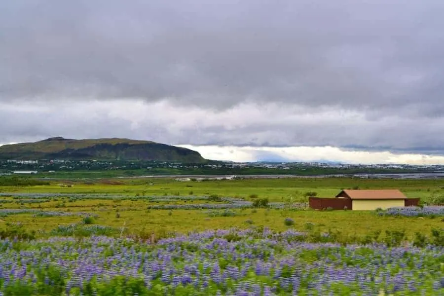 Best Time to Go to Iceland is Summer