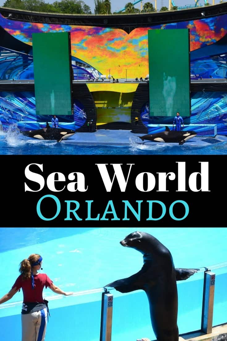 SeaWorld Orlando Attractions