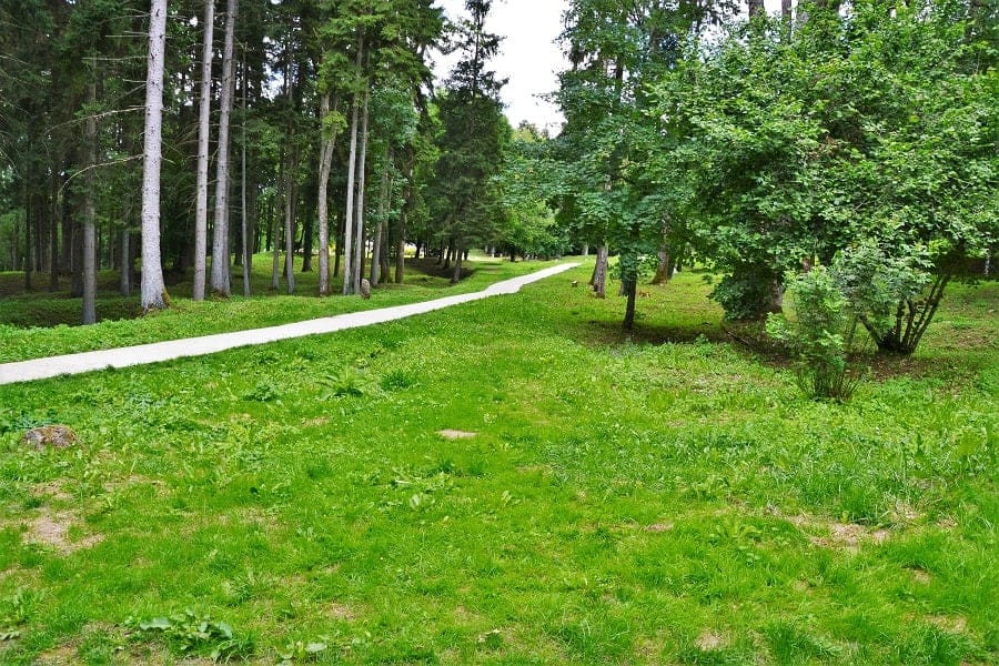 Walking trail into Fleury