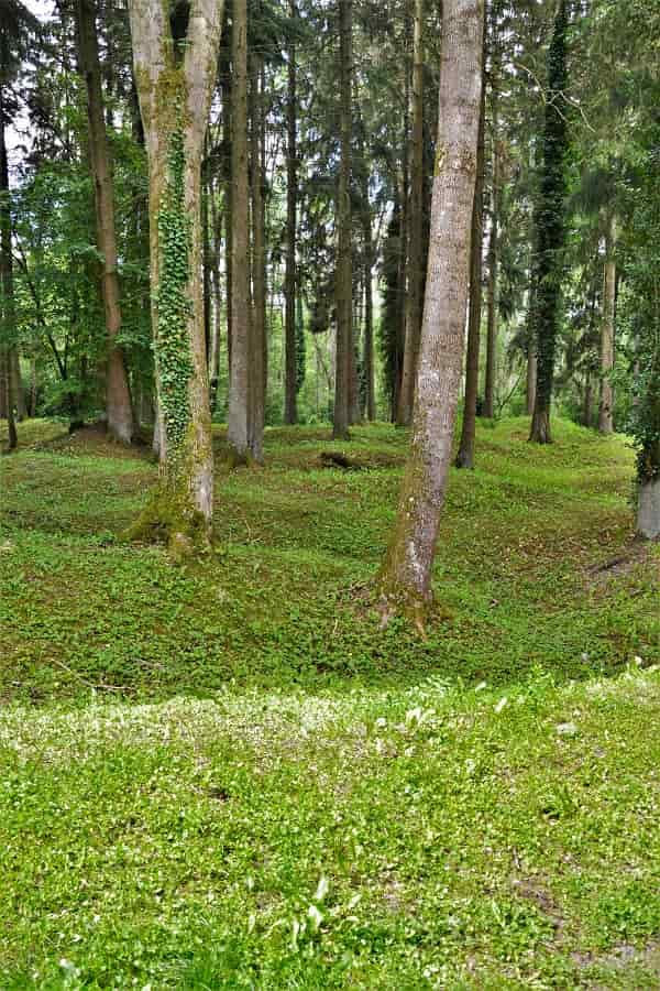 Grounds of Fleury destroyed during WWI