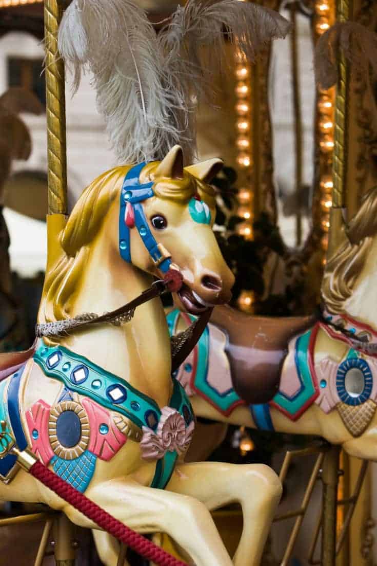 Picci Family Carousel