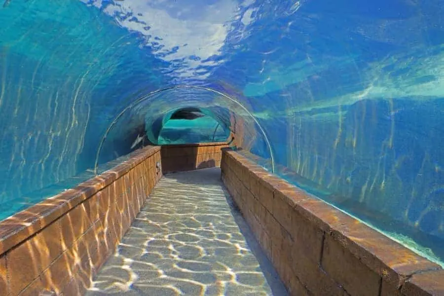 Atlantis Bahamas Aquarium Tunnel