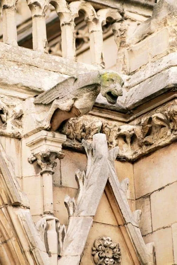 Gargoyle on Notre Dame