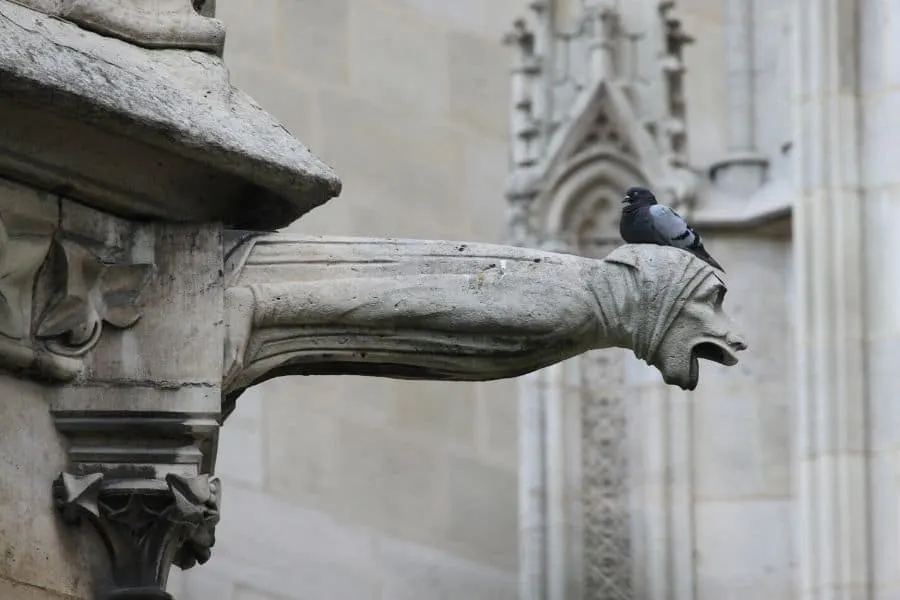 Gargoyles of Notre Dame