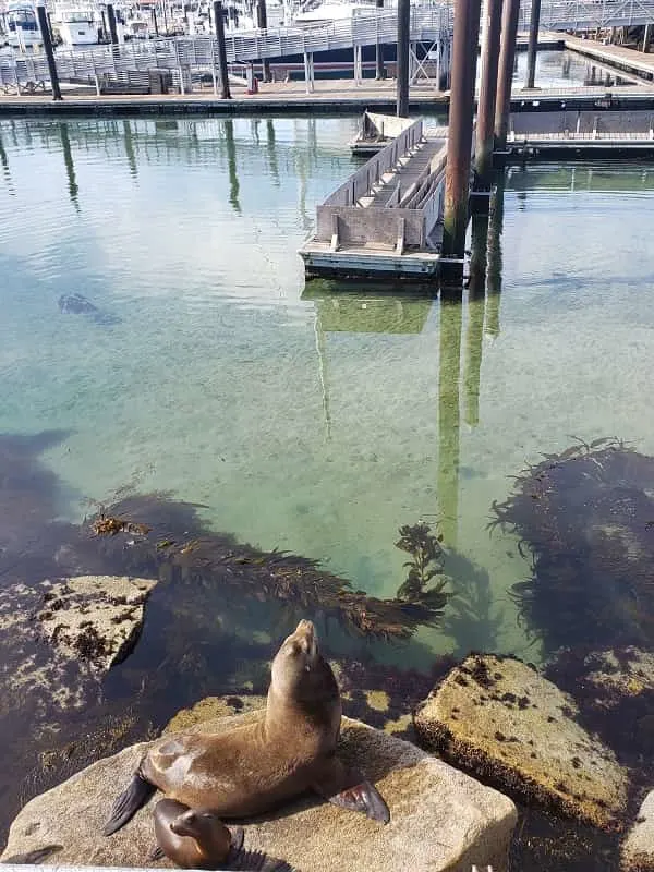 Coast Guard Pier in Monterey