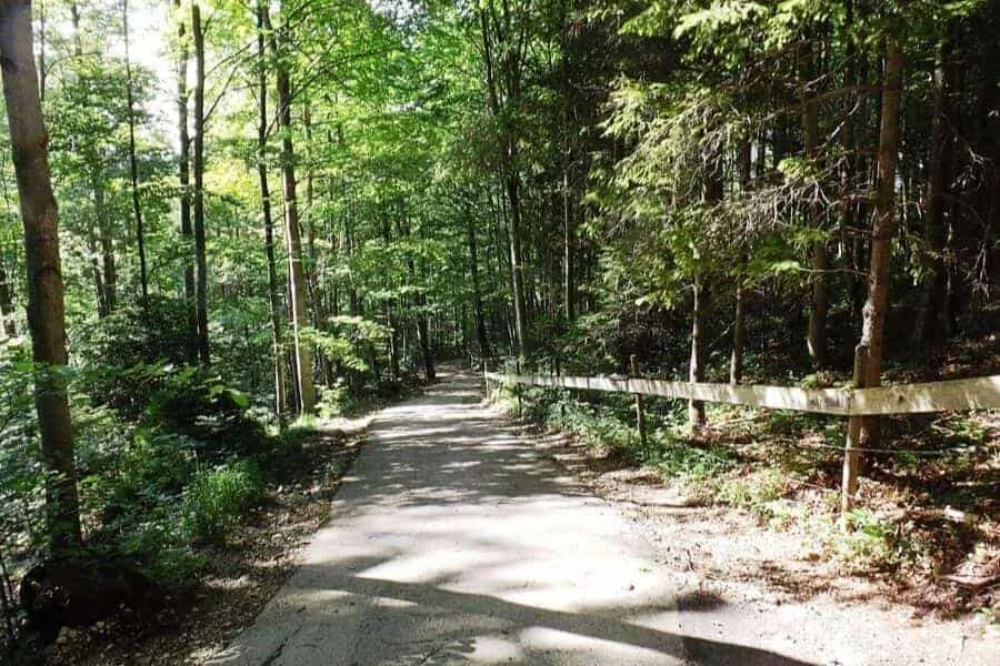 Neuschwanstein Walking Path