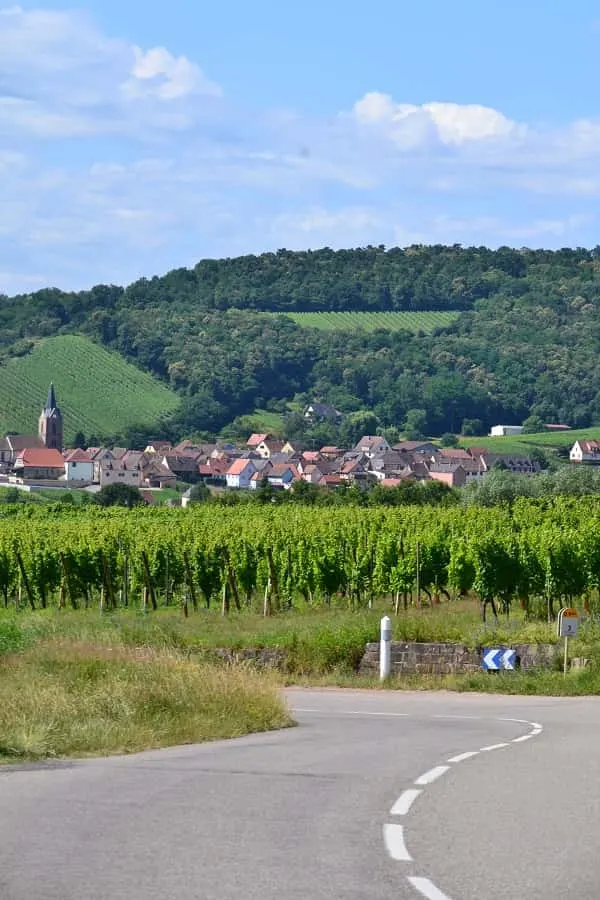 Alsace Wine Route