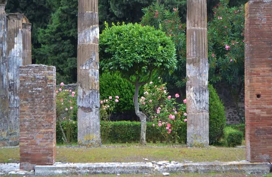 Courtyard in Pompeii