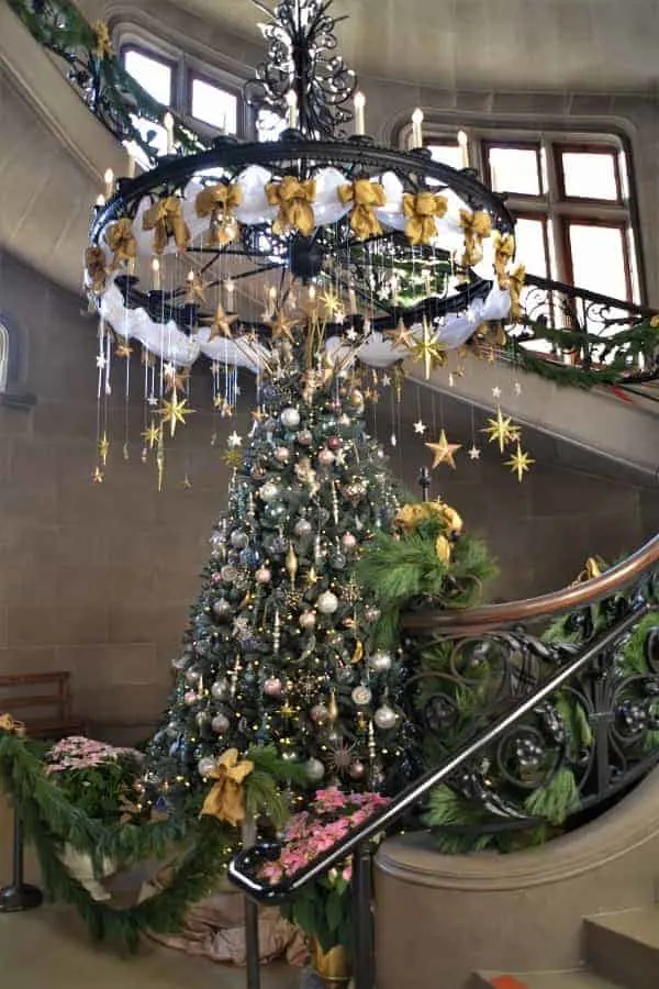 Biltmore Christmas Tree near Staircase