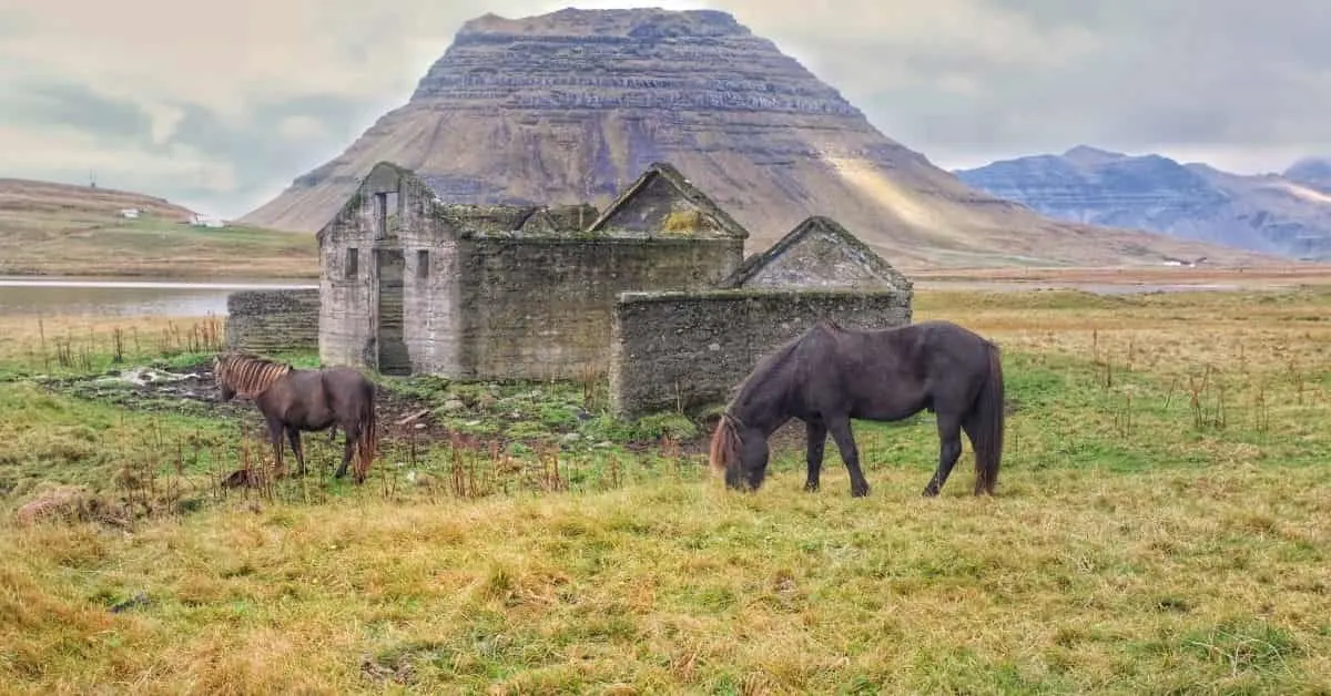 Iceland in the Spring