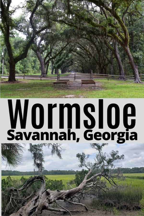 Wormsloe Historic Site in Savannah Georgia