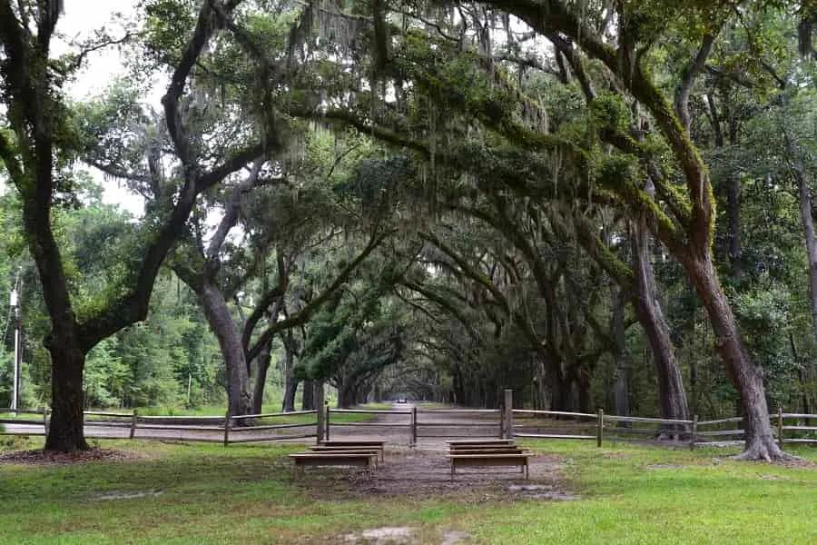 Wormsloe Historic Site in Savannah Georgia