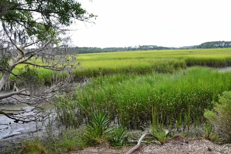 Wormsloe Marsh