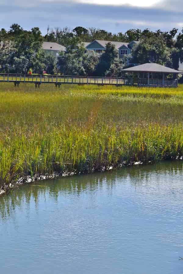 Estuaries in Hilton Head