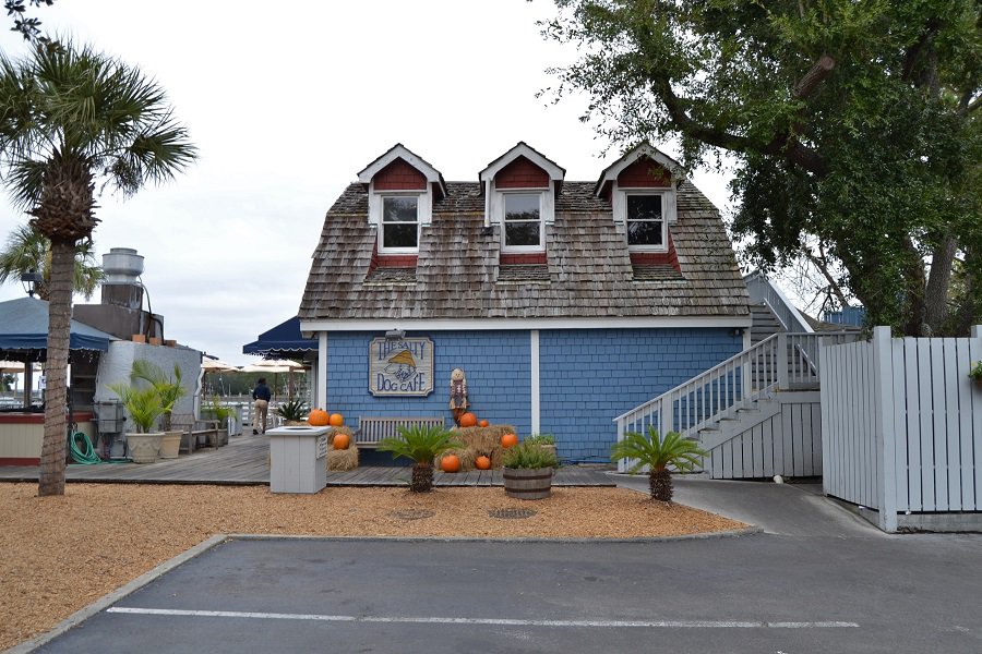 Salty Dog Cafe