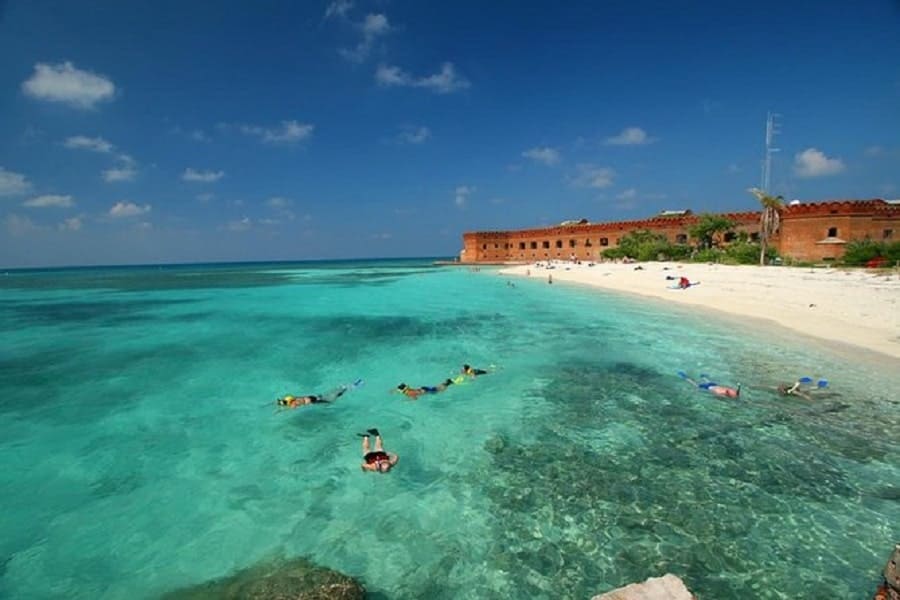 Snorkeling at Tortuga