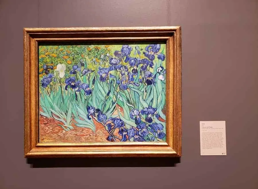 Van Gogh Irises