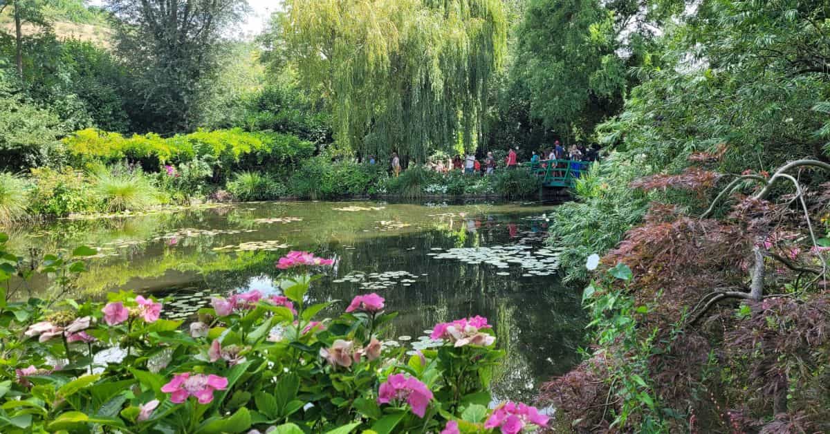 Monet's Waterlilies Water Garden