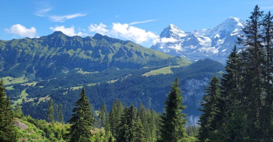 Why You Should Visit the Swiss Alps in the Summer