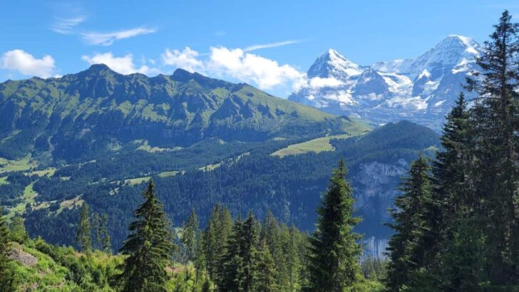 Swiss Alps in the Summer