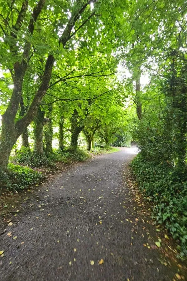 Bunratty Trails