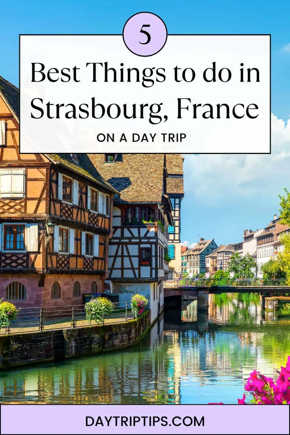 5 BEST Things to do in Strasbourg, France